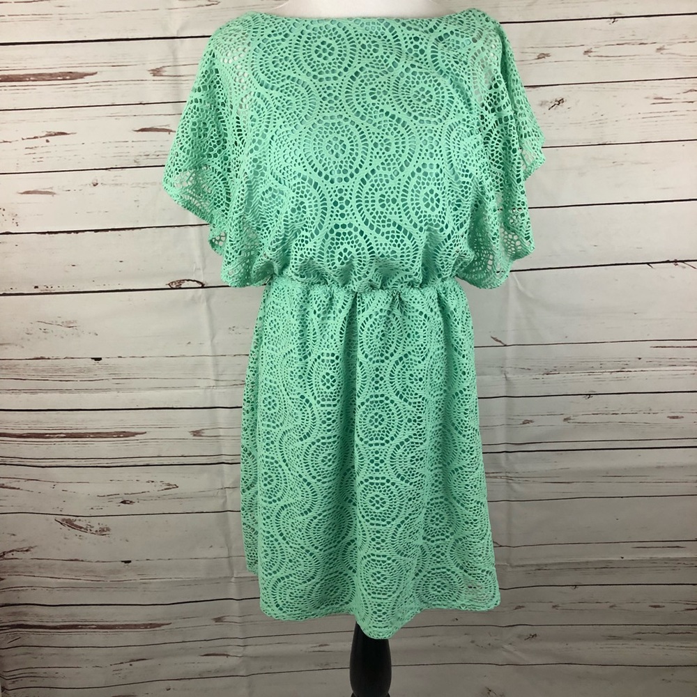 Emma & Michele Size 8 cinch waist eyelet Dress